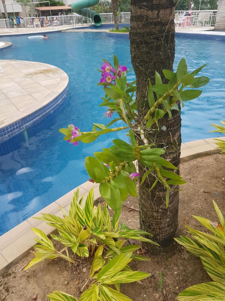 Rio Centro - Barra Da Tijuca - Recreio - Apartamento Río de Janeiro